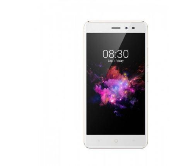 TP-Link Neffos X1 Lite złoty - 378850 - zdjęcie 2